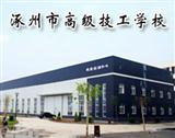 专业展示